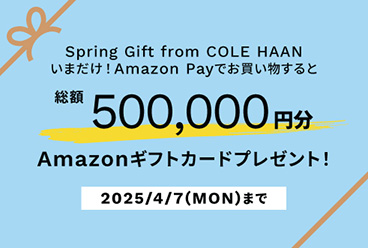Amazonギフトキャンペーン